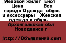 Меховой жилет. Енот. › Цена ­ 10 000 - Все города Одежда, обувь и аксессуары » Женская одежда и обувь   . Архангельская обл.,Новодвинск г.